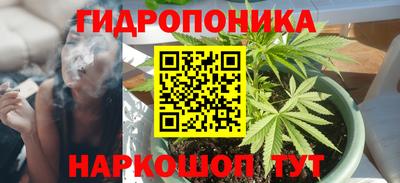 трава Будённовск