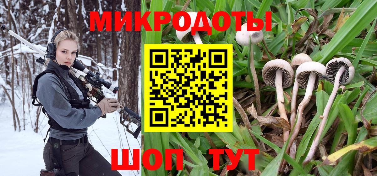 Лесозаводск  Псилоцибиновые грибы GOLDEN TEACHER  купить  цена  Вход с VPN 